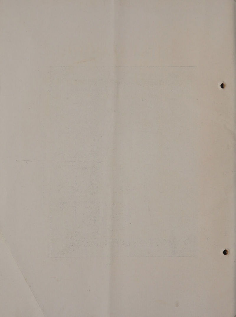 - - , a * . ' 7 be - : a s : ’ ; y f PO a ee ee » ee, : ‘ 2a Separate a ie arta ee ant Wo Mewes ene rmlaee tae ing es Te at sem Ny hi mn abana pepring i ~ ; = ay ite 2's Una re) _ ay tir ‘ ‘ Yi . > = oath lewd” : aed ch ies yi Ag Th i are Tee oS if ¥ Pe y ee ate ' 7 Pe 4 i a + . , , + + 18 ‘ 7 ‘ ai e el Me Fa  s = ‘ i : ¥ . ee “ zs : j + : pa = ' a 7 4 « A 7 i ' 4 3 1 ' ‘ ‘ : , 1 : . Hy ‘ : 1 —* ‘ iy % # ? aes ati we. ; y aN. a, § Ay _ . z : ti ay ay. : a i c ; en My Ly : ef Ae OR ees Se eee a iy ct Nae ae
