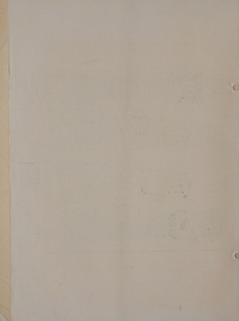 ‘7. - ! + + { ‘ ‘ ° fo s i] : ‘ 4 f 7 4 fa “ary ‘ . oe x ms ie ate aan aie Of ¢ ‘ r il bs Pathe, ah” a oly WF Aisy ESM eta) 2 fi f ‘ * ‘ ee wid ¥, > 2 . 2 fa. oe - | ~the ' hi ‘ 4 ; Pm et ‘ et ‘ 7 ‘ yi “en . st ‘ . ' ae F : - mr, ~ rs F Ka A) 4 ~ 1 ‘ a j tole ‘ Ps Shaitey Were: « £ ¥. 4M : , ? . t i. ’ f- pe ‘ ‘ ie é a a ' é a See Ae ee ts comely a adele pe em get) Here bee Hone : S : ; (vey i . wot PY ’ * ee ‘ . 5 } P r tiers @ : é - nd * a es 7 iy be sv ‘ at M,