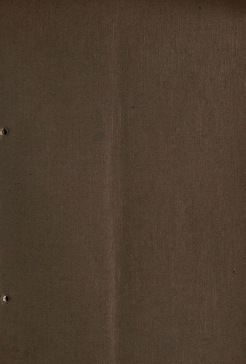 rie ie sit i i Ne UY