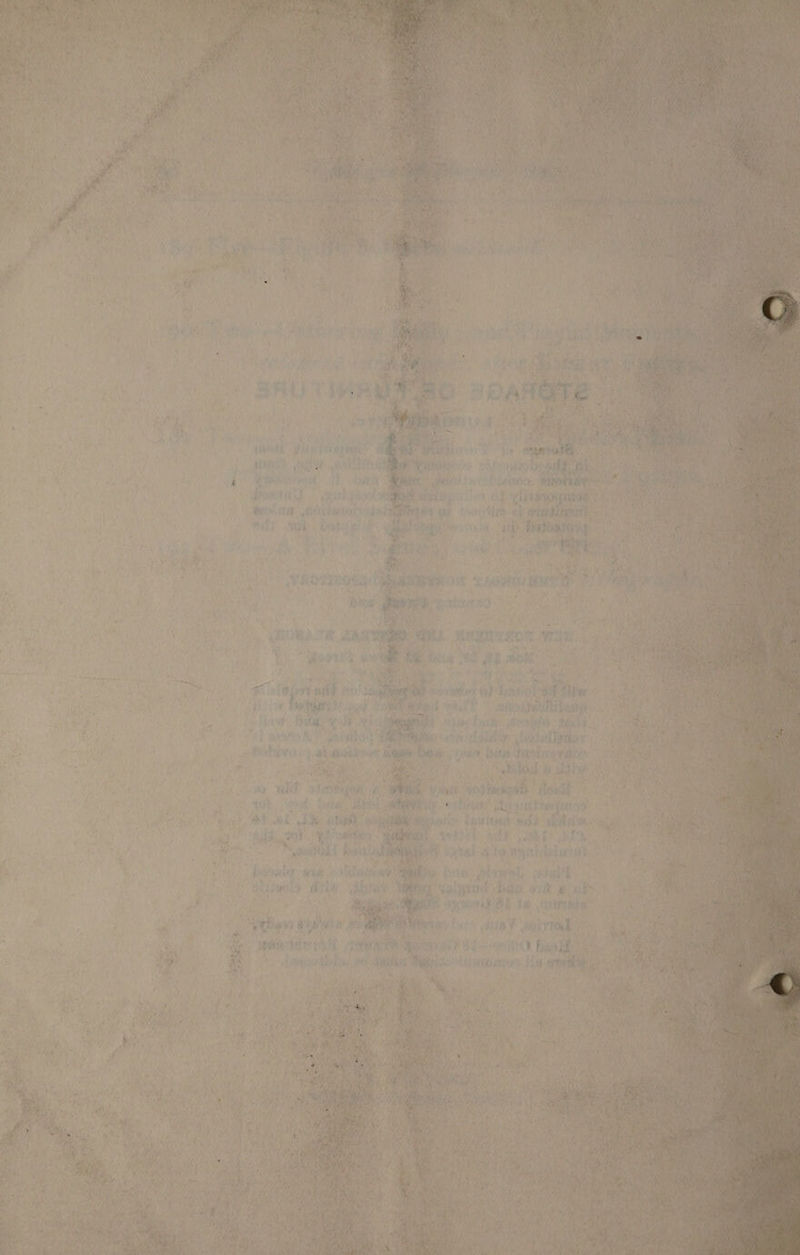 t iy ef , > Yes tal ad ae