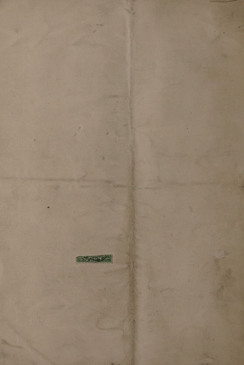 . x % Lt ‘ &amp; ‘ P ‘ E - ¥. BEN Ripa plea > , PRP