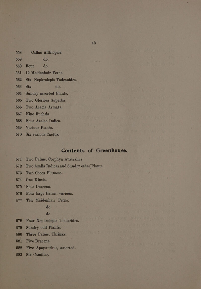 559 560 561 562 563 564 565 566 567 568 569 570 571 B72 573 574 575 576 677 578 579 580 581 582 583 43 do. Four do. 12 Maidenhair Ferns. Six Nephrolepis Todeaoides. Six do. Sundry assorted Plants. Two Gloriosa Superba. Two Acacia Armata. Nine Fuchsia. Four Azalae Indica. Various Plants. Six various Cactus. Contents of Greenhouse. Two Palms, Corphya Australias Two Azalia Indicas and Sundry other Plants. Two Cocos Plumosa. One Kintia. Four large Palms, various. Ten Maidenhair Ferns. do. do. Four Nephrolepis Todeasides. Sundry odd Plants. Three Palms, Thrinax. Five Dracena. Five Apapanthus, assorted. Six Camillas.