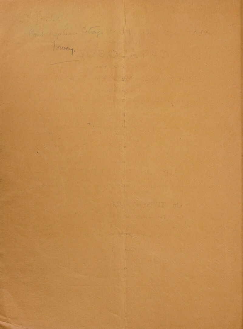 aie A Le ns ee es a ater! 1 > 4 ee tees