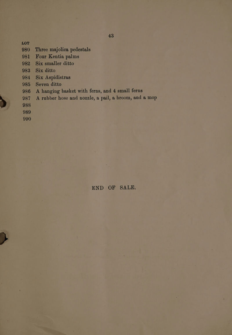 980 981 982 983 984 985 986 287 988 989 990 43 Three majolica pedestals Four Kentia palms Six smaller ditto Six ditto Six Aspidistras Seven ditto A hanging basket with ferns, and 4 small ferns A rubber hose and nozzle, a pail, a broom, and a mop END OF SALE,