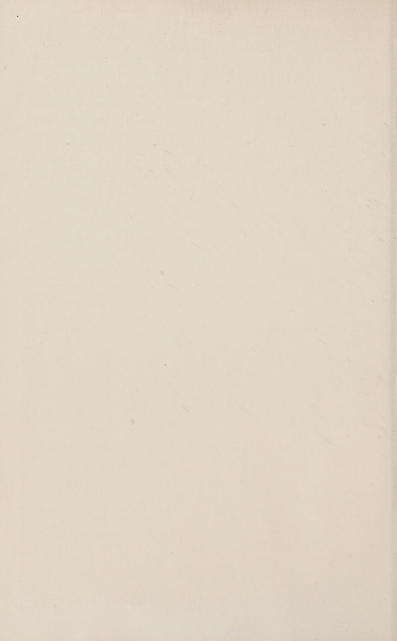 ae : % ; yg : \ ' - ; x i ; ‘ ; 7 i ay a ' wisn A We. I A = ‘ . x y WO ny “ 4 = re 7 ‘ 7) > ie ; ¥ t 27 3 7 . fn - ‘ t a . 2 a4. 7 t J ' a) 7 , ¢ &amp; 2 7 a) ° 4g bo ’ = 7 5) ee ay, a 5 - tT { 4 U n fi on  ’ . = oh ier ' .  ' Va ive 7; . ' 4M eo i 7 a : vine : . ale @ 7 4 a* Wa sem ae * fa oa: ere » Ry! hi