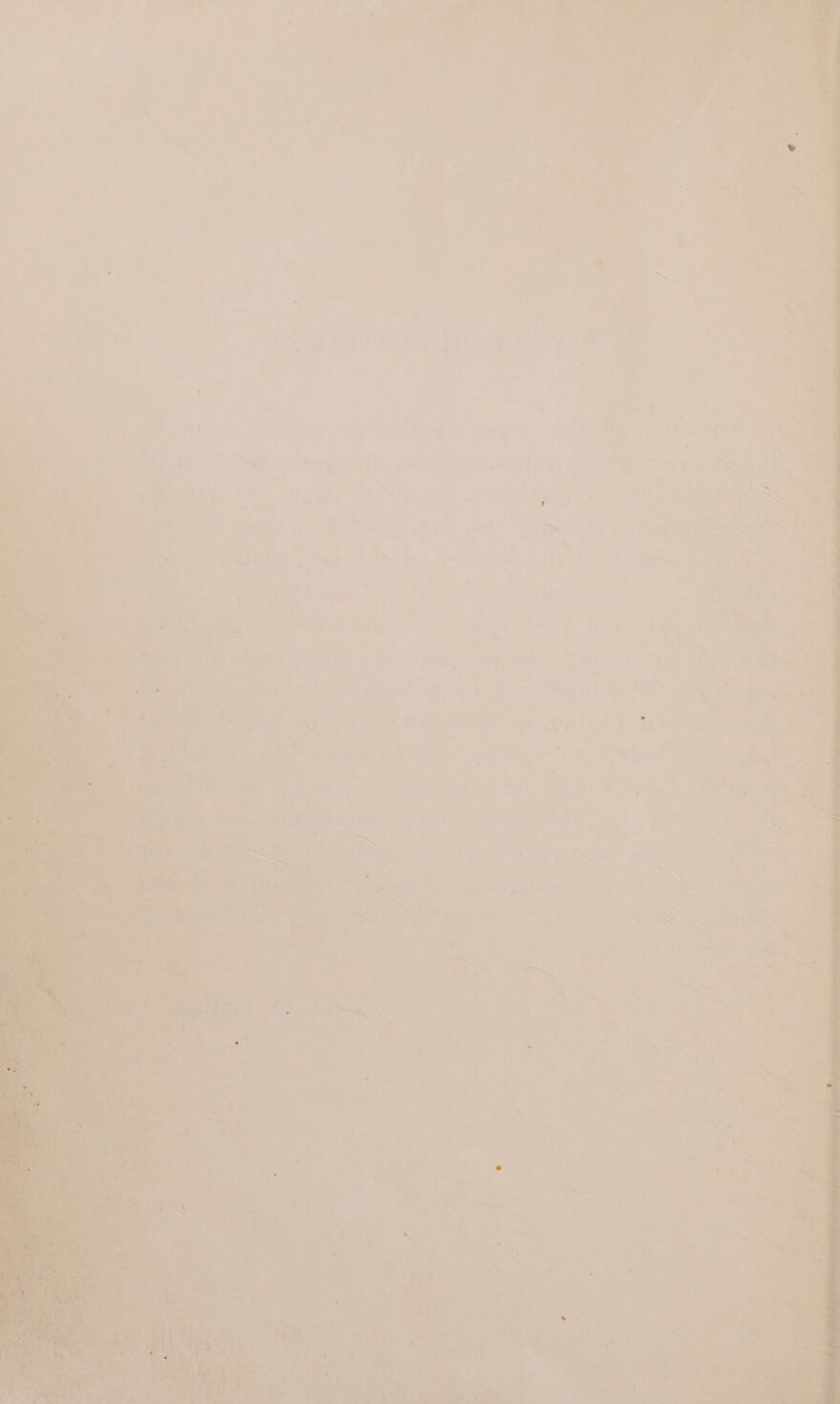 4 od a, rhe oA : ‘ ro oon sae $: Pa, a