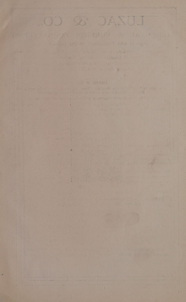 digitised image 3