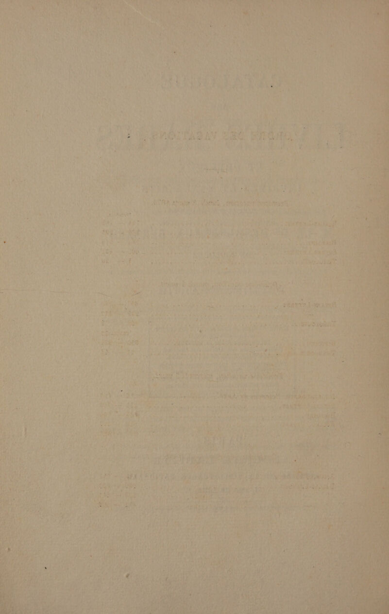 At <7 / iu J A y a \ wy : ¢ a ee s 4 By ¥ ‘ te ‘ u > ; 2 aay rey. a t ’ ph it te a: fn® ; ‘Ss ines oc 4 4 ' ' , ’ ‘ et ag ‘ e's PU See het ra ‘ ’ ‘ vA Th ; ‘ 4 per i ‘ 4 ¥ a, * 4 ey . a A 4 > : Fi ‘ i , 1 i a My Th | ‘ ; ‘ n pee if ep ee Pk AF yi : Byars re y A aa Vad, A f , £9. - ,  aa ‘4 + ; ‘ “ - y 3 - * va ¢ 2} Py Rey 7h . alae ape ew erge,. Pe rl , Pe © ties to aie we ‘ ’ Ty es ‘ a > ‘ ‘< 7 ) : f % 5 + a “J “ : { : f F a 4 di a t ., » : : eam 4 ’ : : oe H : si NY ve ‘ >e f £ .Roryrt 4Fgh « ie¥ ss 1 ‘ u ae \ f 4 Fy : ; Wes é % . va ae Ma an ora cael 4) 5,04 . F ‘ te oe , Se ; Pi ; he a Me | bh vee ae a ihe aed . ‘ Saka es Bik A + oe an 5 4 r ~ ree . p yuri 4; , w. Ca F i _aey ys S, aia ) ‘ea » Ne ‘ : ‘ ‘ * # ‘ A &amp; bt 7 . AeA - ~? ~~ qs a , ’ i % wee ¥ ‘ i be Y y 4 : 745 £ Via tries ce ph <chpuckah De ¥ 1 ‘ } ( Fy f ‘ Lore . ae th » . cur Geet) Sil OT cd ls ' wt ‘ Roe maeiy 4 : > « ‘5 ~ ; ‘ ~ + 2 y ‘ i ee eS Te chs ‘ XE Paes te ian &amp; 2 ae, Dee tay Soy tnd 7 ; ee Ce re $ : z: - nj-i 8 Mb Se ree s « ' » é t ?) cogs fe iss 5 Ett Ae te ere we a. Fi th, cara i ie oa: ro a Sn ; Si Sa : ¢ €, mie % EA Med on Sy. a MSR ah t on 1 or ache Ate Mts r f : ‘ ‘ ts ny re u Wis F : > i hae pi Se mes + y a ie , ahh cae aay 4m sein rie, at ; ARS? AYR Ae pur Fac mp cag Ni Te? Mae. pAiAD Rp irs _ ET ie awa is lina | Pate Lite ag ¥ At Die ae we ‘ae ‘Las ee aes ! <8 is