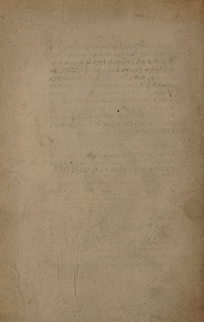 mint (ge 2m ie ee renee eae oe rites a a Ee hy 2 Picts J rt ayy Lr, Fy