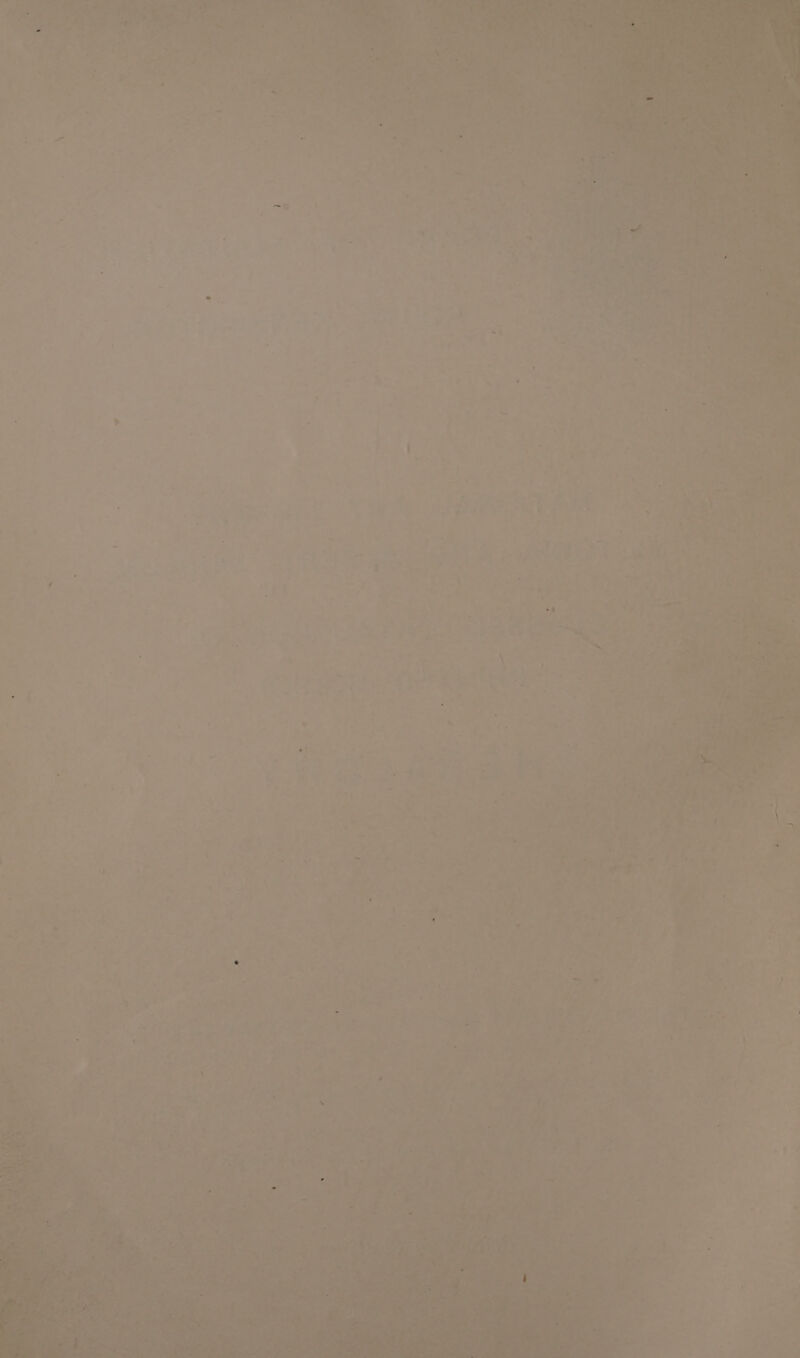 Oe a we a i ar td ee wake > ee *'> =J om = . al es =