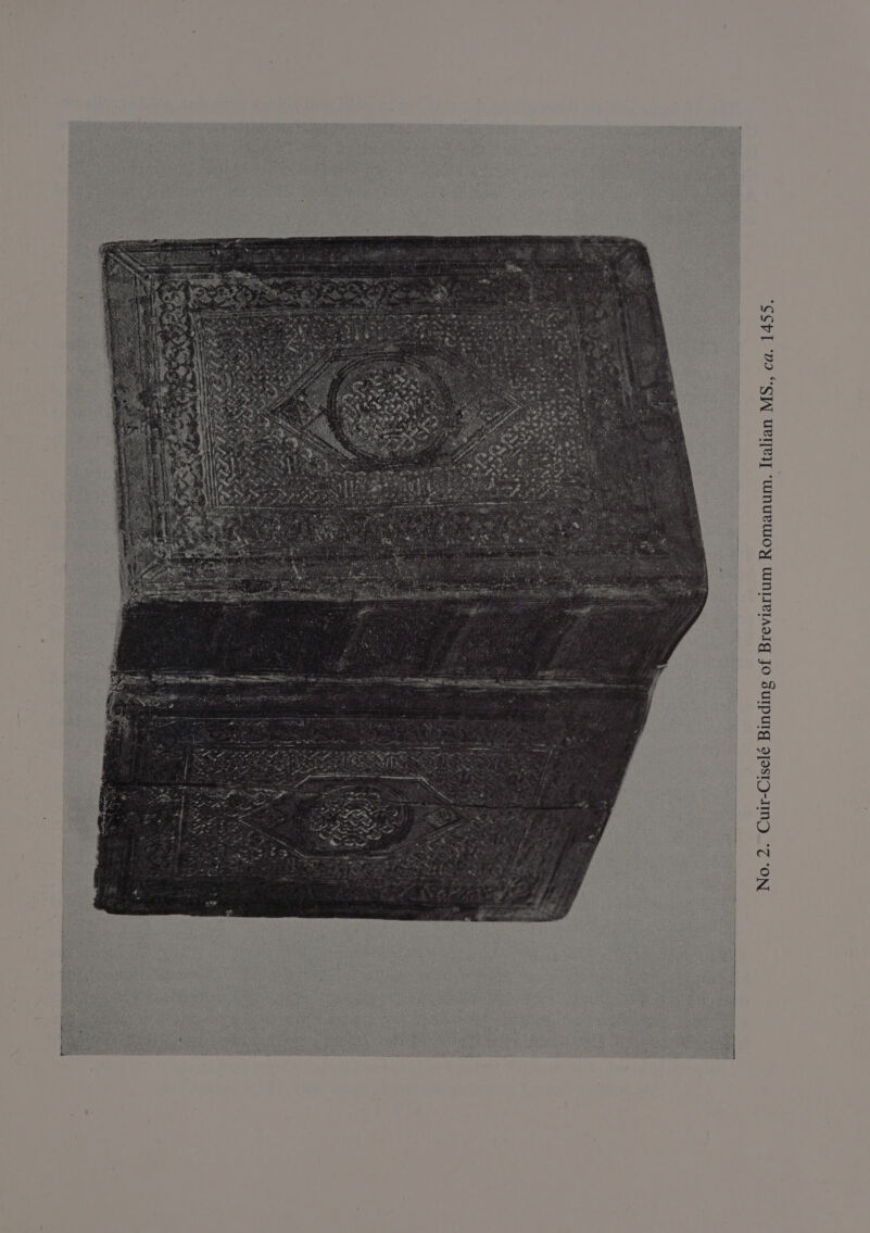 “SShl v9 “SW ueTeI] “wMUeWOY Cc ON