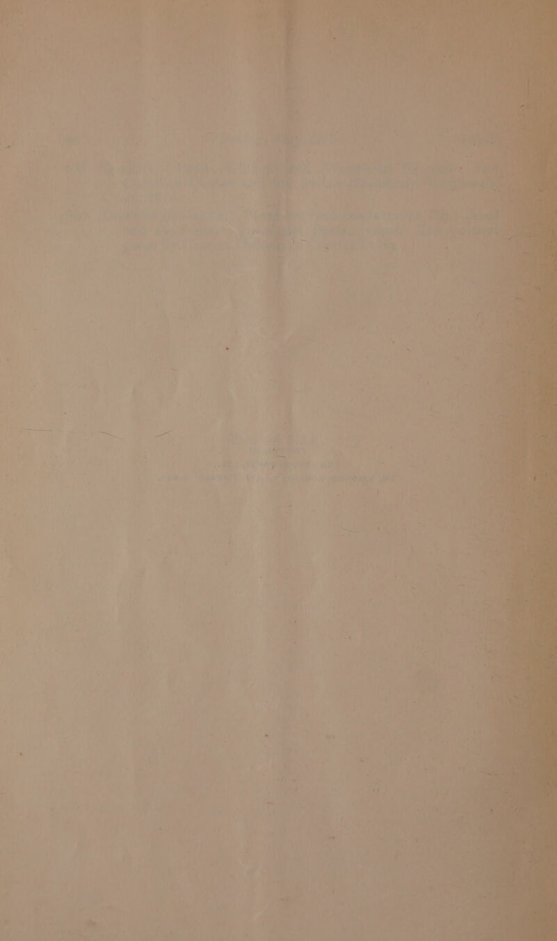 Bi age, . j Cen nt . rh. ‘ : ‘ ig pe (ks 0 ; rin eA. A 5 fy OA Sa ' ie. 6 - Te y 7 mn : : ‘ | ve = SM é ae a0 bs N hs nt - as a) ars ; ~~, ; a9 f ‘oF SOY, J . e 4 F 4 sia : ‘ 7 y ’ 7 1 ; ; ; —: ¢ “ F a Lb . | 4 — * —— : = oe i &lt;a : Fi ) oe s ~* 5 F a « | . . F ‘ roe | ae J bas) . ‘ ie wi : . ‘ 4 « » a : “7 : * ty * 7 af * 9 L)