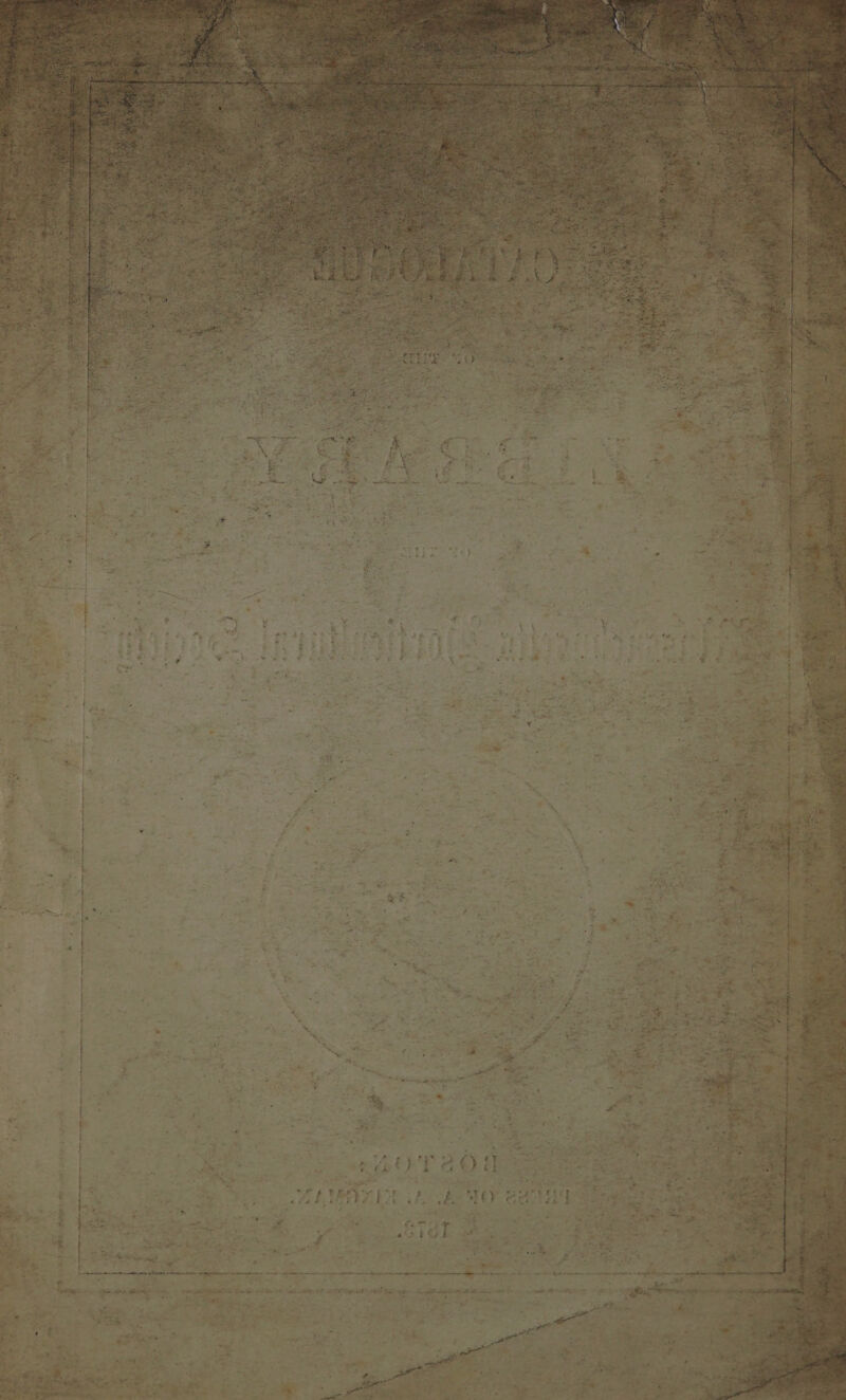 IE i iy at fi oy eli lac ep dry lp maa Menard —* ee te ee ee ee ee eas aed 2 i er ae an Le gee ¢ aap tte agp saith al al ae i