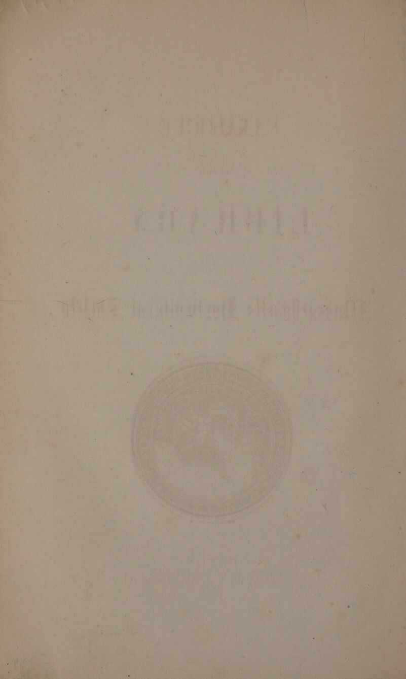 ' 7 +f) AA + ater any a Fe r inh yc yes t oe a a