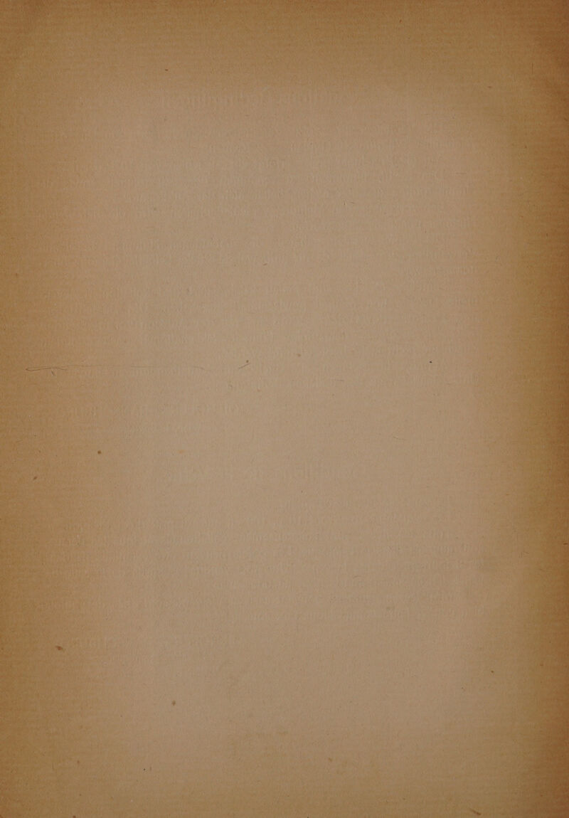 tay sah i gre ew ai4/!\i