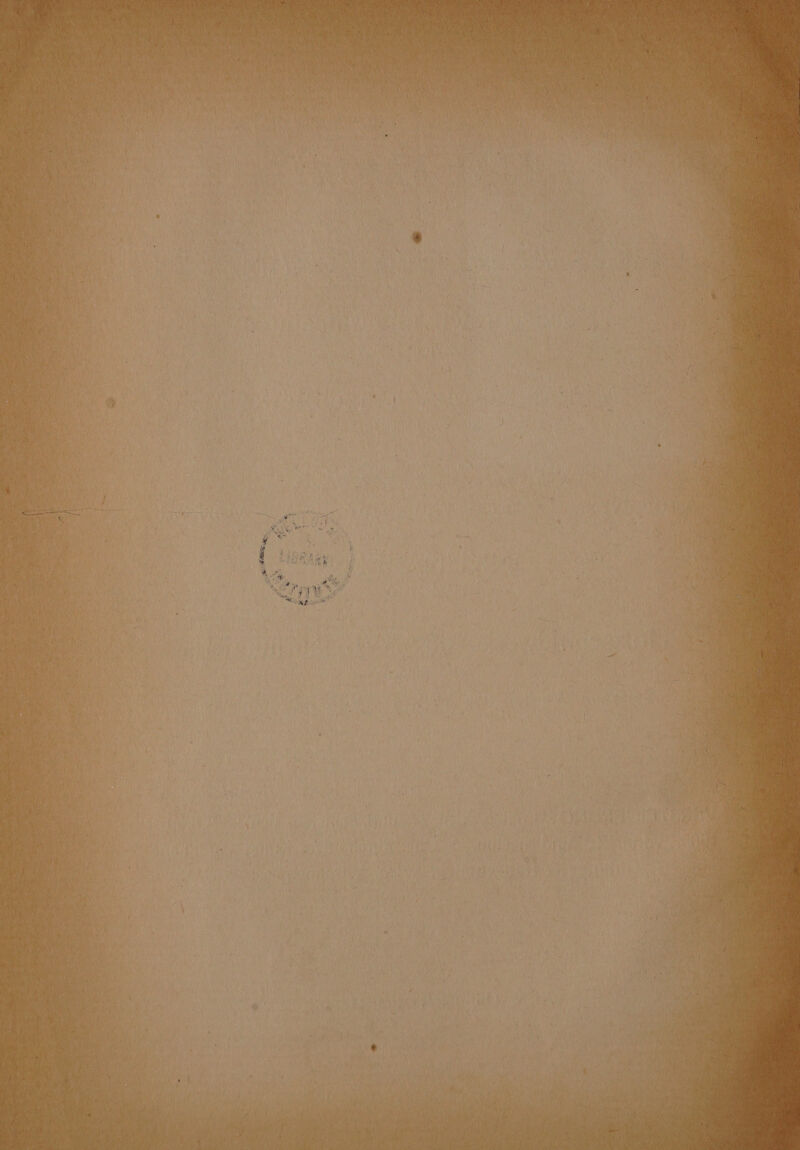 DS oF ra Tian 4% 3 44 La) iy