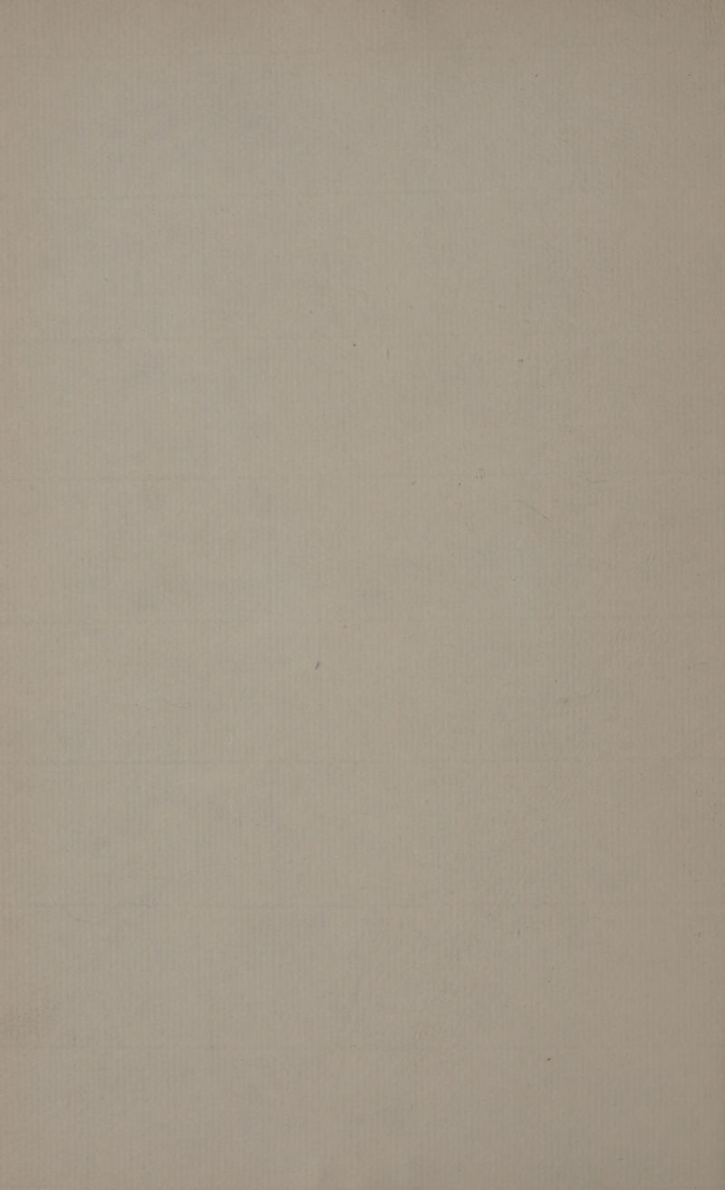 \ ea ne ni aka ¥ sae: wh pre aed | = le = 34 ial saa) ce ee ee | cass ate t ; : ESN i ee 9 ws Pre a, = “ ary Wess Be Se ee ere — : te ere oe ace A. ra ~ . 7 he re 4 — ri 7 7 = c P . 3 ? + ‘= . ~—we a y . Per. ee ee . *~ - okaih . Pe” 6 ow ae < er Se bade, re 8 atk _ on Cee a et 1d ee tte
