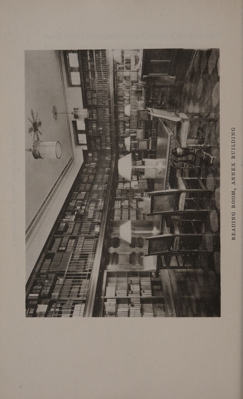 ONIGTINA XANNV SWOOU DNIAGVAU