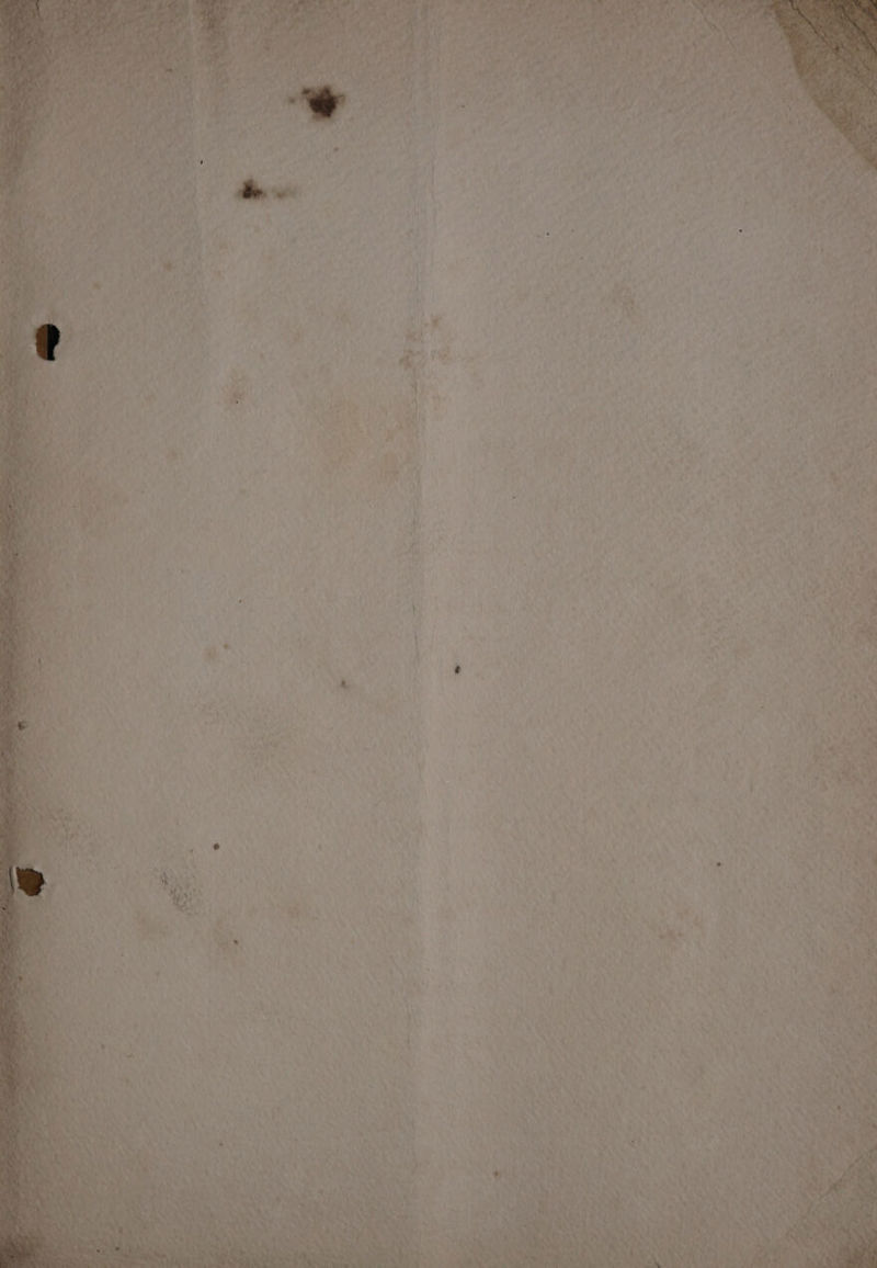 era a” . * ire 3; + hy et EY