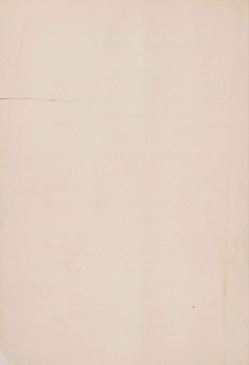 pgdiecenenals ee ~~ Le. Fa ek rez = we a. ae ee - > = — -é Oe aaa 5. t tl. a ee -_ - 7 - i ey. = v4 Pa : (rs grt: re + ati ee = : = itt -_ > 7 = > =f 7: << ae . ye e G&amp;G > >. nae = oe