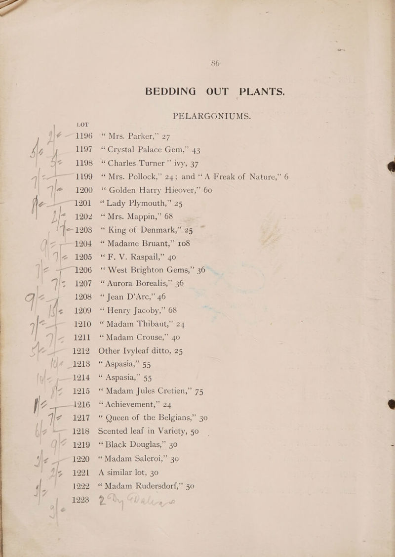 1196 L197 fe 1198 21199 1200 1201 Bi* 1202 = 1208 Vie (fe 1915 1222 1223 SO BEDDING OUT PLANTS. PELARGONIUMS. ey To packer. a7 sGrystalePalace Gein,<e44 iCiarlesslurmer iva ‘Mrs. Pollock,” 24; and ““Awareak of Nature,’ 6 ‘‘ Golden Harry Hieover,”’ 60 “Lady Plymouth,” 25 “Mrs. Mappin,” 68 “ King of Denmark,” 25 ‘* Madame Bruant,” 108 ““F, V. Raspail,” 40 ‘West Brighton Gems,”’ 36 ‘ Aurora Borealis,” 36 ei fean D Arc: 946 (mItenry |acopy, 06 “ Madam Thibaut,” 24 ‘* Madam Crouse,’ 40 Other Ivyleaf ditto, 25 “* Aspasia,” 55 “* Aspasia,’” 55 ‘‘ Madam Jules Cretien,” 75 ‘“‘ Achievement,” 24 ‘Queen of the Belgians,” 30 Scented leaf in Variety, 50 ‘Black Douglas,’’ 30 “ Madam Saleroi,’’ 30 A similar lot, 30 “ Madam Rudersdorf,” 50 By y, %