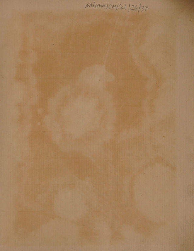 No text description is available for this image