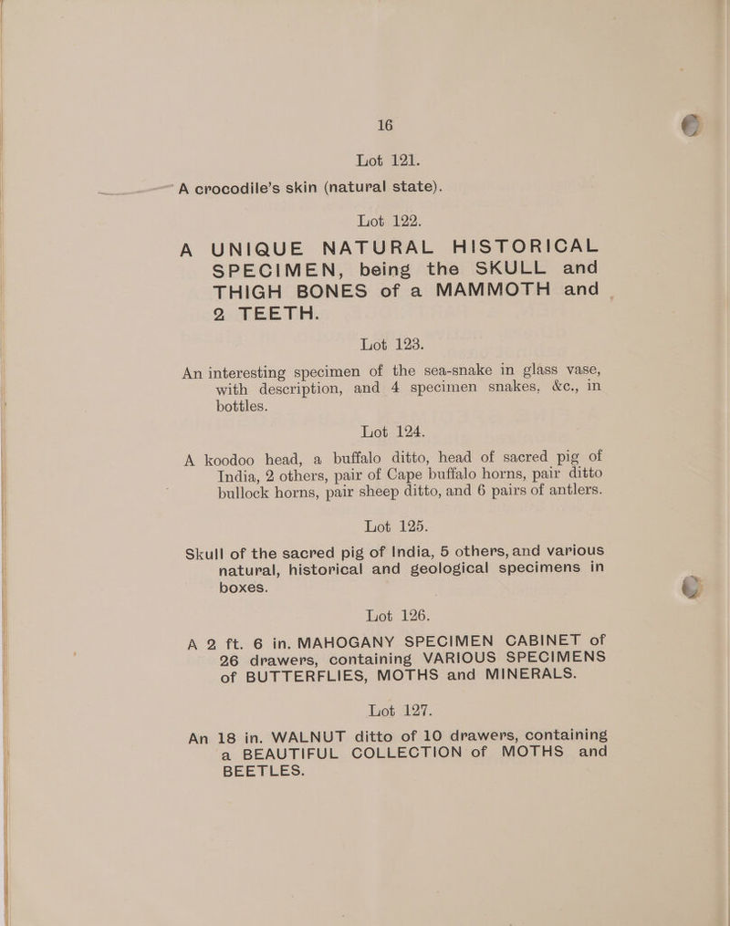 Lot 121. A crocodile’s skin (natural state). Lot 122. A UNIQUE NATURAL HISTORICAL SPECIMEN, being the SKULL and THIGH BONES of a MAMMOTH and _ 2 TEETH. Lot 128. An interesting specimen of the sea-snake in glass vase, with description, and 4 specimen snakes, &amp;c., in bottles. Lot 124. A koodoo head, a buffalo ditto, head of sacred pig of India, 2 others, pair of Cape buffalo horns, pair ditto bullock horns, pair sheep ditto, and 6 pairs of antlers. Lot 125. Skull of the sacred pig of India, 5 others, and various natural, historical and geological specimens in boxes. Lot 126. A 2 ft. 6 in. MAHOGANY SPECIMEN CABINET of 26 drawers, containing VARIOUS SPECIMENS of BUTTERFLIES, MOTHS and MINERALS. Lot 127. An 18 in. WALNUT ditto of 10 drawers, containing a BEAUTIFUL COLLECTION of MOTHS and BEETLES.