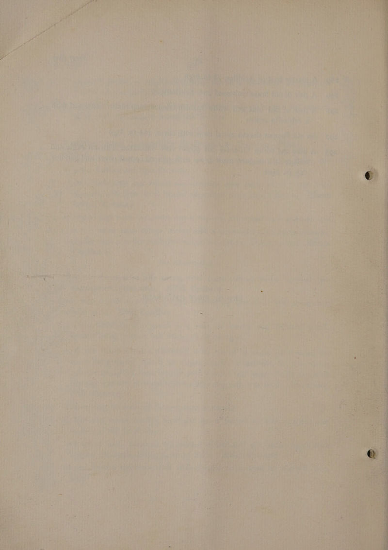 Poy ahr A> Fig cea £ Parry eS i ¢ eae A, yt Ns,