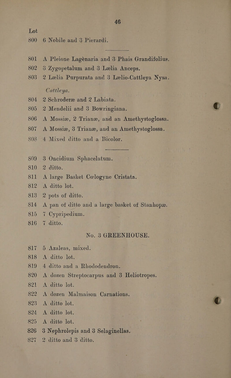 800 801 S02 803 46 6 Nobile and 3 Pierardi. 3 Zygopetalum and 3 Lelia Anceps. Cattleya. 2 Schrodere and 2 Labiata. 2 Mendelii and 3 Bowringiana. A Mossie, 3 Triane, and an Amethystoglossa. 4 Mixed ditto and a Bicolor. 3 Oncidium Sphacelatum. 2 ditto. A large Basket Coelogyne Cristata. A ditto lot. 2 pots of ditto. A pan of ditto and a large basket of Stanhope. T Cypripedium. T ditto. No. 3 GREENHOUSE. 5 Azaleas, mixed. A ditto lot. 4 ditto and a Rhododendron. A dozen Streptocarpus and 3 Heliotropes. A ditto lot. A dozen Malmaison Carnations. 3 Nephrolepis and 8 Selaginellas. C