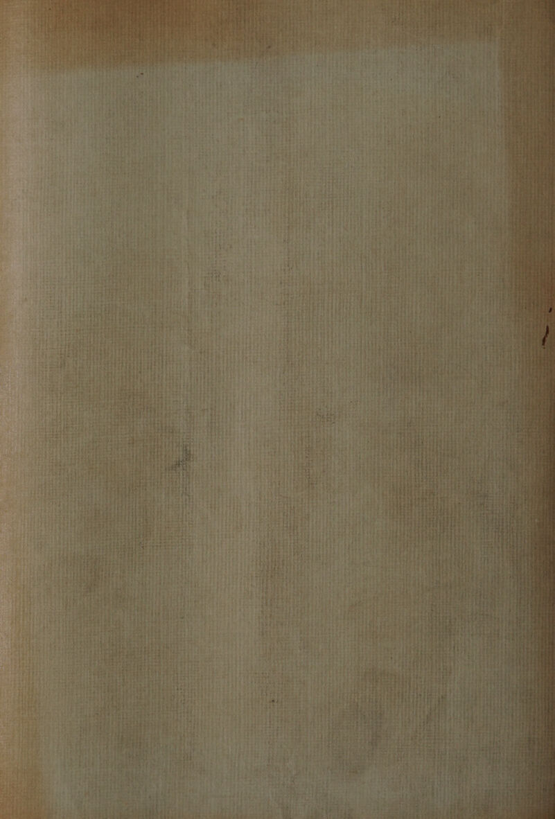 ‘mt 2 te A eee, am ene bl smn at a wort tag oe ae ed Sete Feat ee a wh em OT NOt eee ees roe eye . : Shans 198 2A recedes wee ees ad panes Dananh<ioyeite sierra See eee ey renee an pretn te T+ 9G EN tn 0 COs = are = : ht he ahah ovr be? “=t7e* a Ae deme >