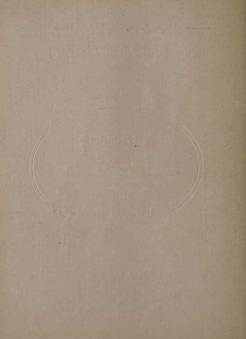 ¢ - wees) sae 1% |. oiler, Be &amp;  1 é 5 .P ; . { : a - + He ’ . * € > ‘ ¢ 5] , : a 4 res 7 + 3 ‘ ters “phat ‘ . —— i « ' | . 4  it ~ { he ~ i ; y iy - OT aad » > - ai a e : — | > . i ; i 4 ¢ yi ba - ra Shee) A eg thie be } ; SERSmta as rc OS) 8 fie aah UTA RET se t, Pa] 7 . em teas . . as : ¥yy i rit Ret ie “o ae s : sth rosy 7. » i ‘ i . \\ : 4 4 ery ere yy St, AS Ayers See gray pee Rs. AG Lita! Bid sare ri yd 89.9 9S Coretta
