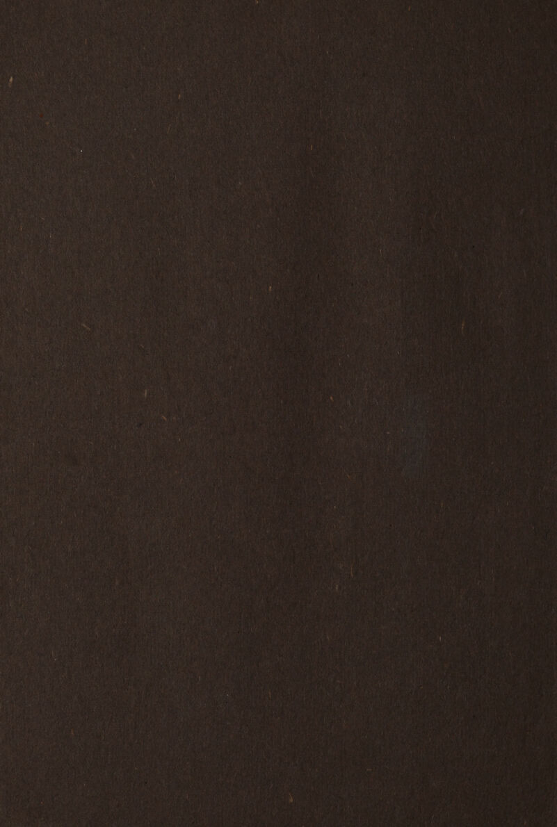 re. ai Ps Ji Bt \ € Seay is