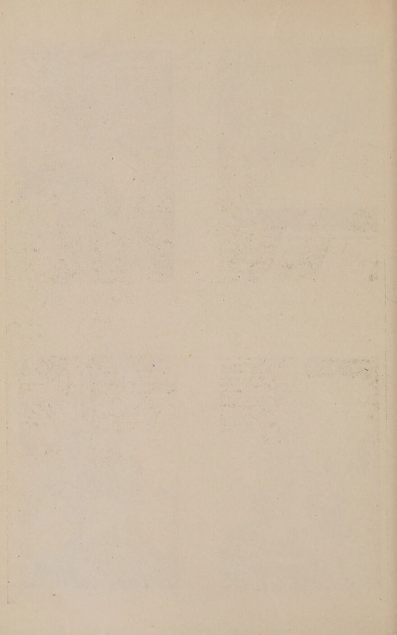 si. a +. it es s. a ‘ ed Se o7 oh Wit ae 4 J 6 ae Md : ; i ¥ eas ‘ ie ; 3 ‘ % ‘Sr Oe. - va “* 5 ‘ vt ee, z Y, be a 5 if ~ = a . Rats “4 a t ; 4 oars Big cee $e ta : A cae “Wey * Ar 7 : ‘ ¥ , { « r ret > , i a, . : AE ER el apps ‘| a = ‘ é - ‘ ,* Ps , < re r 7 A j ; . ; vi) ae A 7 4 vA 5 re “uf