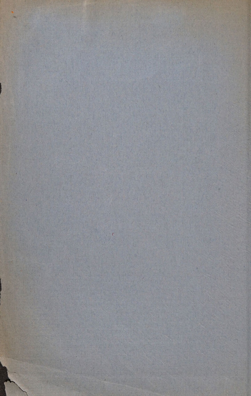 S : thease ya kane Sele ak Se mete we { 4 vy
