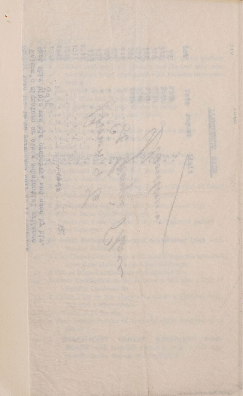 are 2 i Ea % r Ms Ss Spe ‘ z - z | Vadis VW . | ‘ i. . : ‘ ¢ ink , yer ‘> . f “ hes } “ ° * { a %' ‘ : a : in Po old &amp;, a ys 7) ae , “ 4: f 7 tae , ‘ 5 ue 14 . rae 4 gi . a ; 5 4 i £ oa 4 ‘ %  $ roe i - han y 4 - he ‘ ¥ ey ja ; « a. , - . we “ i. ’ a 5 - e “y n a 2 aa j ef ; ; } ot ae 2 ; ; - Pt ate. 7 \ . z. va nie . ae Megs - we  pete; a, Aepl ry- ~ glh pattem Cee tie TRO tie scr ee ee et eeaiee Sea, sates oe - Seae STS - Pane oe Sa te Were eee Ee ne a Sygate “1 et ‘he