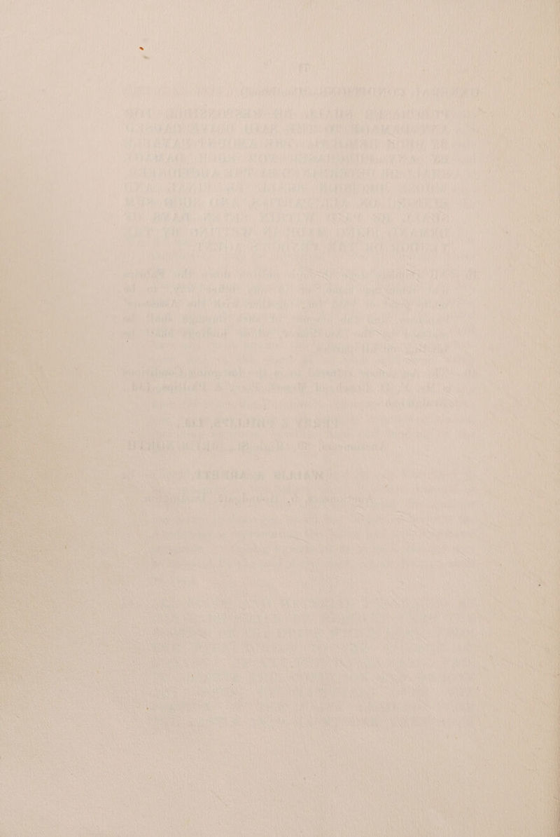 ‘ , X SSS WPA ctaoaen Wk 4