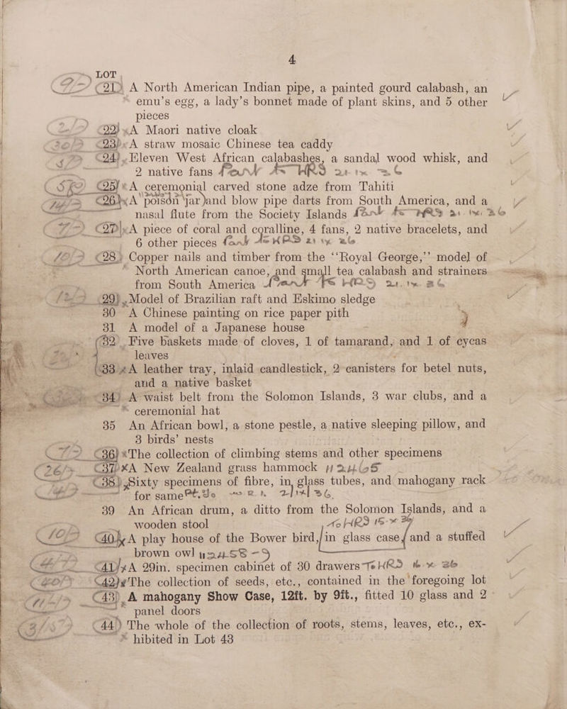 ., LOT (H/ = €21) A North American Indian pipe, a painted gourd calabash, an ~ emu’s egg, a lady’s bonnet made of plant skins, and 5 other pieces 92)A Maori native cloak 20/2 <23)P«A straw mosaic Chinese tea caddy | “~e S24), Eleven West Saas calabashes, a song a wood whisk, and > 9 native fans Feary AS HR: 2t tx 3G (. SK CS COB) «A ceremonial oesad stone adze from Tahiti | | Fep/ = » BIKA’ poison jar and blow pipe darts from Bony America, anda. Bow aa nasal flute from the Society Islands 42 48 ~WRS a. BG | - ¥—-) ©C8D\cA piece of coral and coralline, 4 fans, 2 native bracelets, and | yey _ 6 other pieces fart - Je KR2 21% wl | _ £22 (28> Copper nails and timber from the “‘Royal George,’ ’’ model of = ~*~ North American canoe, mall tea calabash and strainers : from South America 4 Pant ae HS) 24.1« BG a f2 29) ,Model of Brazilian raft and Eskimo sledge a 30 A Chinese painting on rice paper pith %y | 31 <A model of a Japanese house 4 se (82. Five baskets made of cloves, 1 of fosnaisent and 1 of cycas UA ee leaves \ . (33 “A leather tray, inlaid candlestick, 2 canisters for betel nuts, aud a native basket ae <34) A waist belt from the Solomon Islands, 3 war clubs, and a il ~* ceremonial hat 35 An African bowl, a stone pestle, a native sleeping pillow, and 3 birds’ nests Bee fe BS 36) “The collection of climbing stems and thet specimens ( 26/> £ 310XA New Zealand grass hammock p 2X44) ig Og S.. C38) Sixty specimens of fibre, in, glass tubes, and mahogany | rack | Rh te i for samePt. Bo > BB, 2} ~| Ls | 39 An African drum, a ditto from the Solomon Islands, and a : wooden stool Ao ARS 18-* By oe Pe a am Gok A play house of the Bower bird [in lass case and a stuffed “ << brown owl yauSB — , Gr od. AD) 4A 29in. specimen cabinet of 30 drawersTeHRO &amp; % BG CEEP A2)2'The collection of seeds, etc., contained in the foregoing lot 5 reg) . C43) A mahogany Show Case, 12ft. by 9it., fitted 10 glass and 2» nacho nee F panel doors casi 9 4) ) _The whole of the collection of roots, stems, leaves, etc., eX- ee ~ * hibited in Lot 48 |