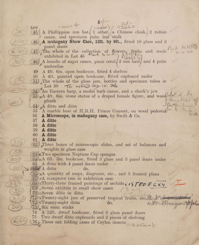 > We es a4 — Lor 11 Ale - tir giol L/ | Ditpelee &amp; c (43) A Phillippine sun hat { fy other,/a Chinese cloak,; 2 rattan X canes, and specimen palm leaf stalk 46 | A mahogany Show Case, 12ft. by 9ft., fitted 10 glass and 2 not al ; panel doors fe 1, ASN iQ “@ © (47) The whole of the collection | of flowers, fruits and seeds_ Bis a ~* exhibited in Lot 46 Cert &amp; Hiryl ri 30/4) 48} A bundle of sugar canes, piece caf 2 sun had] and 4 palm — * umbrellas 49 <A 4ft. 6in. open bookcase, fitted 4 shelves ig 50 <A 4ft. painted open bookcase, fitted cupboard under a ay The whole of the glass jars, bottles and specimen tubes in ‘— Lot 50 Se HRS 2. 1x SE | ee 52) An Eastern harp, a model bark canoe, and a shark’s jaw \53)yA 4ft. 6in. stone statue of a draped female figure, and wood se ae ) plinth Con gk My <6 A ditto and ditto : J Rectge s Beexin : 55 A marble bust of H.R.H. Prince Consort, on wood pedestal’? ne ERS 56 A Microscope, in mahogany case, by Swift &amp; Co. os 57 <A ditto 58 <A ditto 59 A ditto 60 A ditto 3 61 A ditto We 62) whree boxes of microscopic slides, and set of balances and PCD _ weights in glass case Cus PSR 63x Two specimen Neptune Cup sponges ( 66 CEASA 6{t. din. bookcase, fitted 3 glass and 3 panel doors under | tat 65 A ditto with 4 panel doors under fe Sa G gaa A ditto do. | pre | yA quantity of maps, diagrams, etc., and 3 framed plans ‘-* _(67)xA mangrove tree in exhibition case 17 ae 2% Py 68) “Thirty- three framed paintings of agp Le Teo F Cx KY geen ay 69. Seven exhibits in small show cases / : 70) Seven ditto in ditto | <> (iP«Twenty-eight jars of preserved tropical fruits, etc Bre shi Six stem sticks 74 “A 12ft. dwarf bookcase, fitted 6 glass panel doors . 75 Two dwarf ditto cupboards and 2 pieces of shelving 7 iby Three oak folding cases of Ceylon insects / F yr a= /-} a t a MaRS