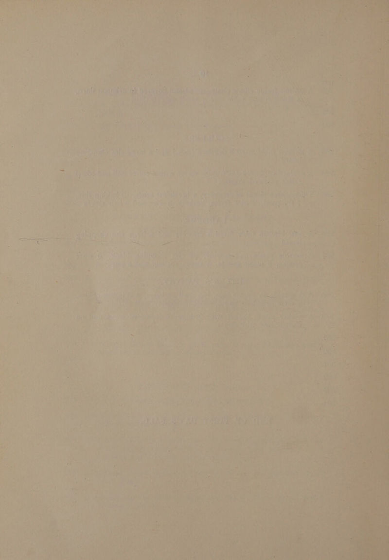 ’ Fy y ‘. ; Wie SE ae 2 C. ini sit may ed, Veivoal Pile es? Piles 4 ’