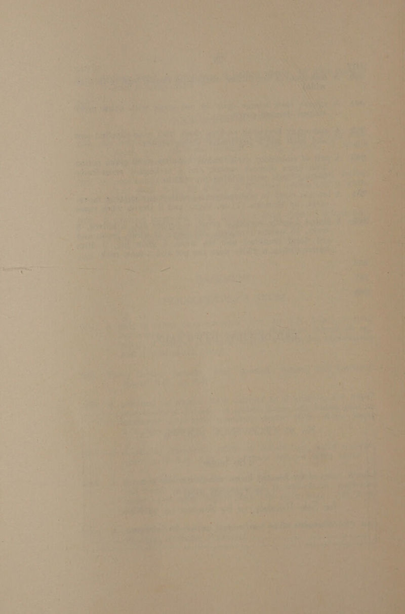 te tc tant ie tS 3.4 H es ‘ py x7 ‘a hae e) o a < ; aa aw), tes a r] a = gi ; aad | =e a ‘ : : y, f “sf , ie, er Alas ct <n Ae i. “SY J . i | aie A an Sir ’ =