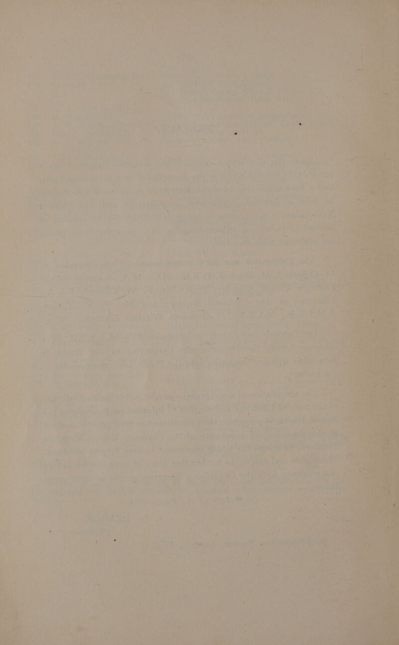 > © aume = 4 he wy &amp; . bd