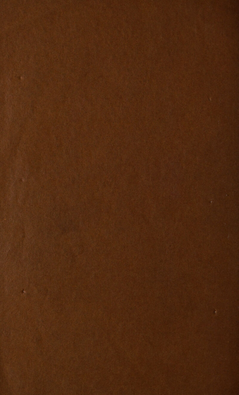 May, “= * <2 ia sie. Suni ge