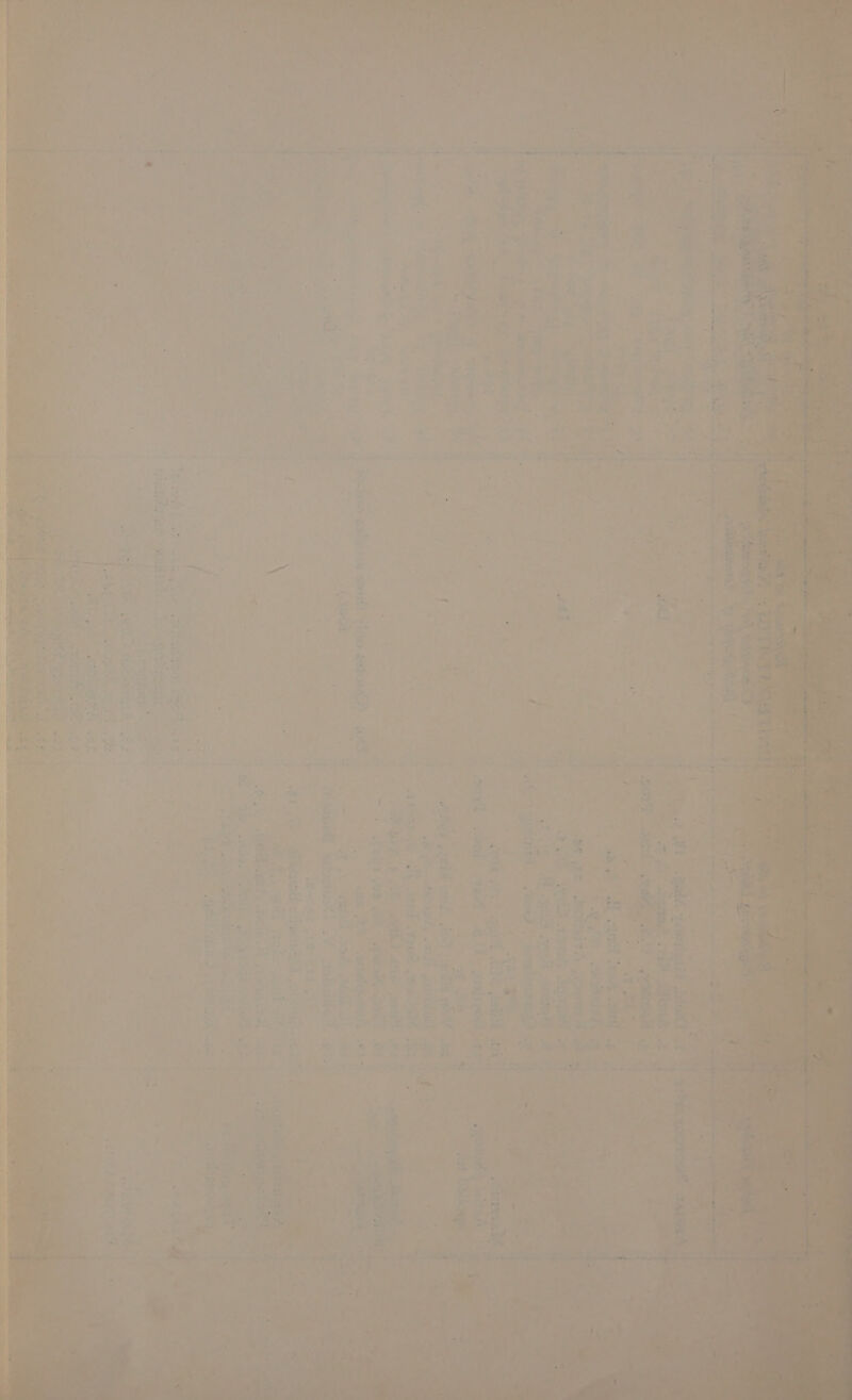 a) HOTA. oF nenals ee a a ae 51 sake < we: : +, ' = .. *y Ww. vit ¢ me AE ne anlynctiagl ae, oes ES