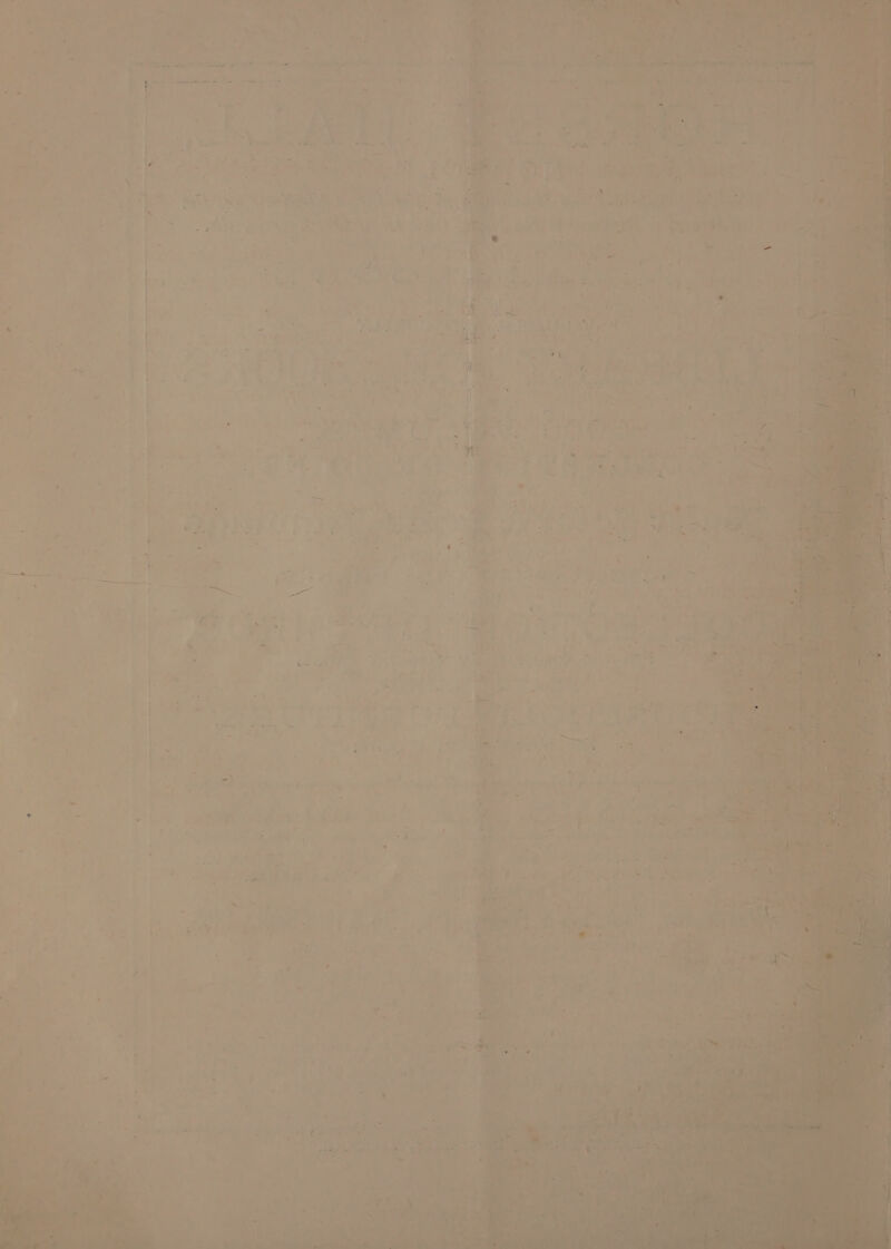 re mis Sere a ate ees ul — ‘ i 1 - j Sarah Pa ile!