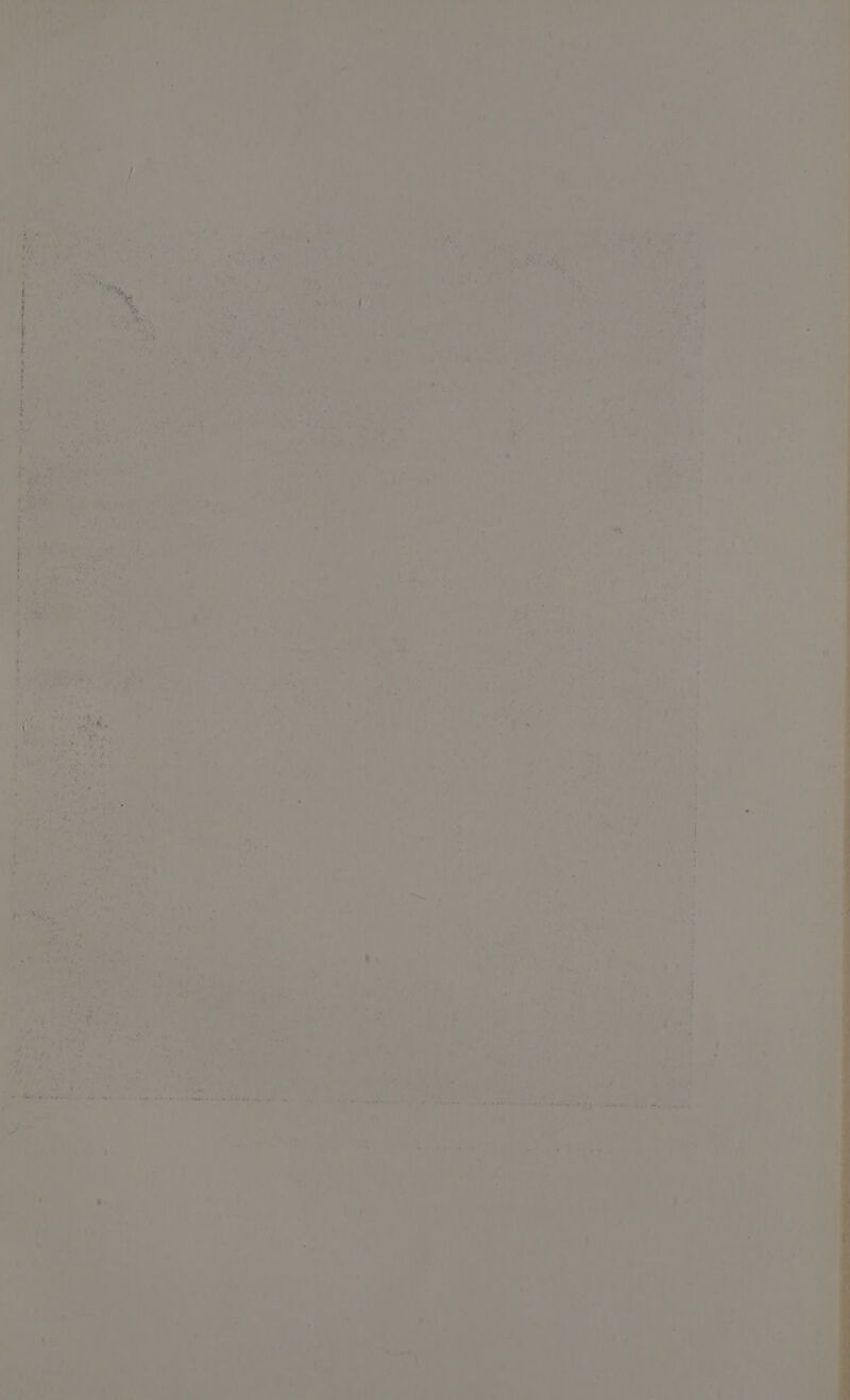 oe new ar .i oe ste! x et : | a1 2 se 7 aay bce habs