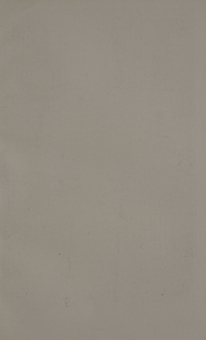 \ q > pe y W ca Pl rn iP Mg ee Ce : i ae , 7 dl i a n s Pans oF a ca