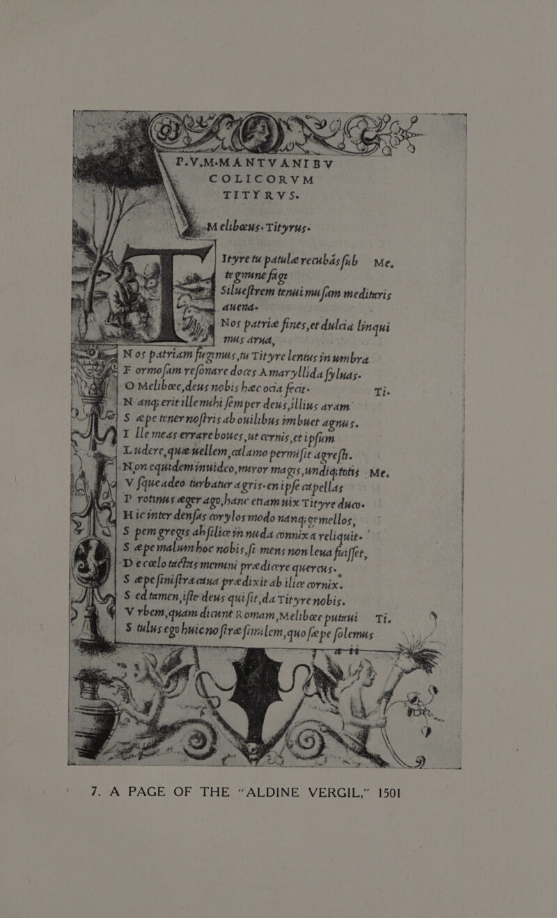 2} CLs in ea | MANTVANIBYV COLICORVM TEDLRY Se tuo elibeus: Tityrus- Ityretu patulerecnbasfub Me, te gimne fage eg Stlueltrem tenui mn fam meditaris | auend- Nos patria fines et dulda linqui : | MMs aruda, feed N os patriam furnus,tu Tityre lentus inwmbra F ormofam refonare dows Amaryllida fyluas. | O Meliboce,deus nobis heec ocia fecit- Ti- NN ang erit illemihi femper deus,illins aram’ S epe tenernoftris ab ouilibus imbuet Ags. f} 1 Lle meas errareboues,ut ernis.et ipfum | Ludere que nellem,ctlamo permifit agrefh. | |: Non equideminuideo,muror ma gis, wndigstotis Me, enipfe atpellas : P rotiums eger ago,hanc etiam wix Tityre duc iffet, filice in nuda connixa idan 2% “« bee pumui Ti. firslem,quo fepe folenms