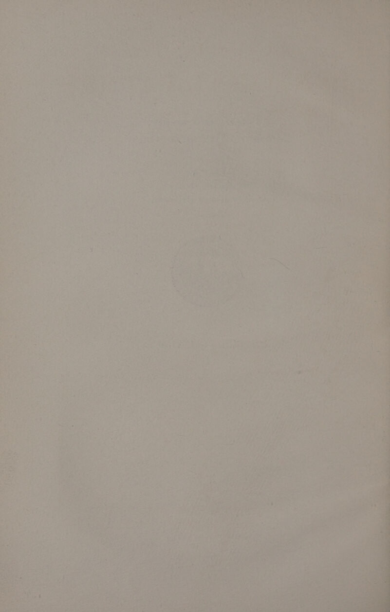 SA Re oe a Vertes es a