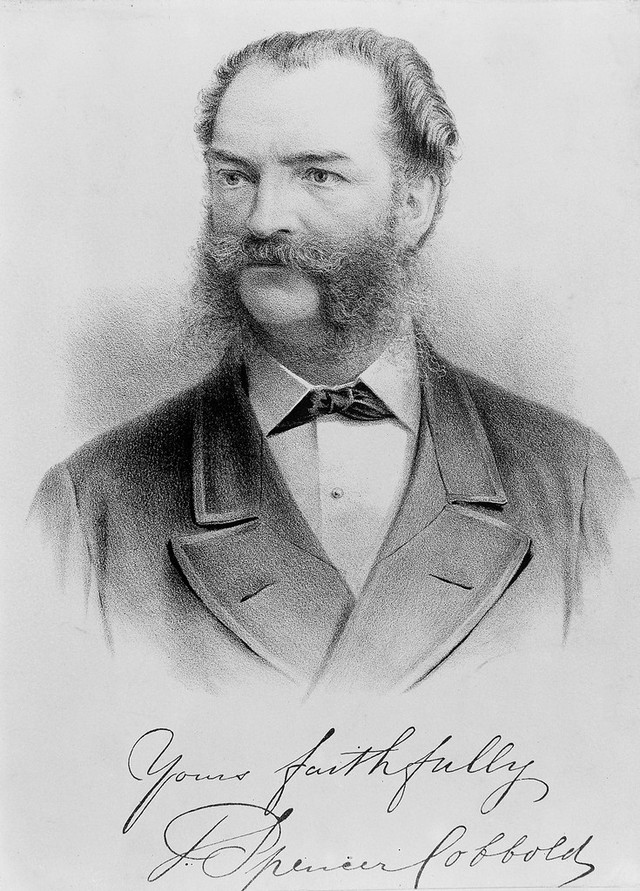 No text description is available for this image