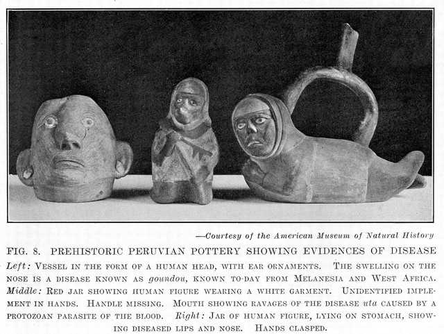 digitised image 1